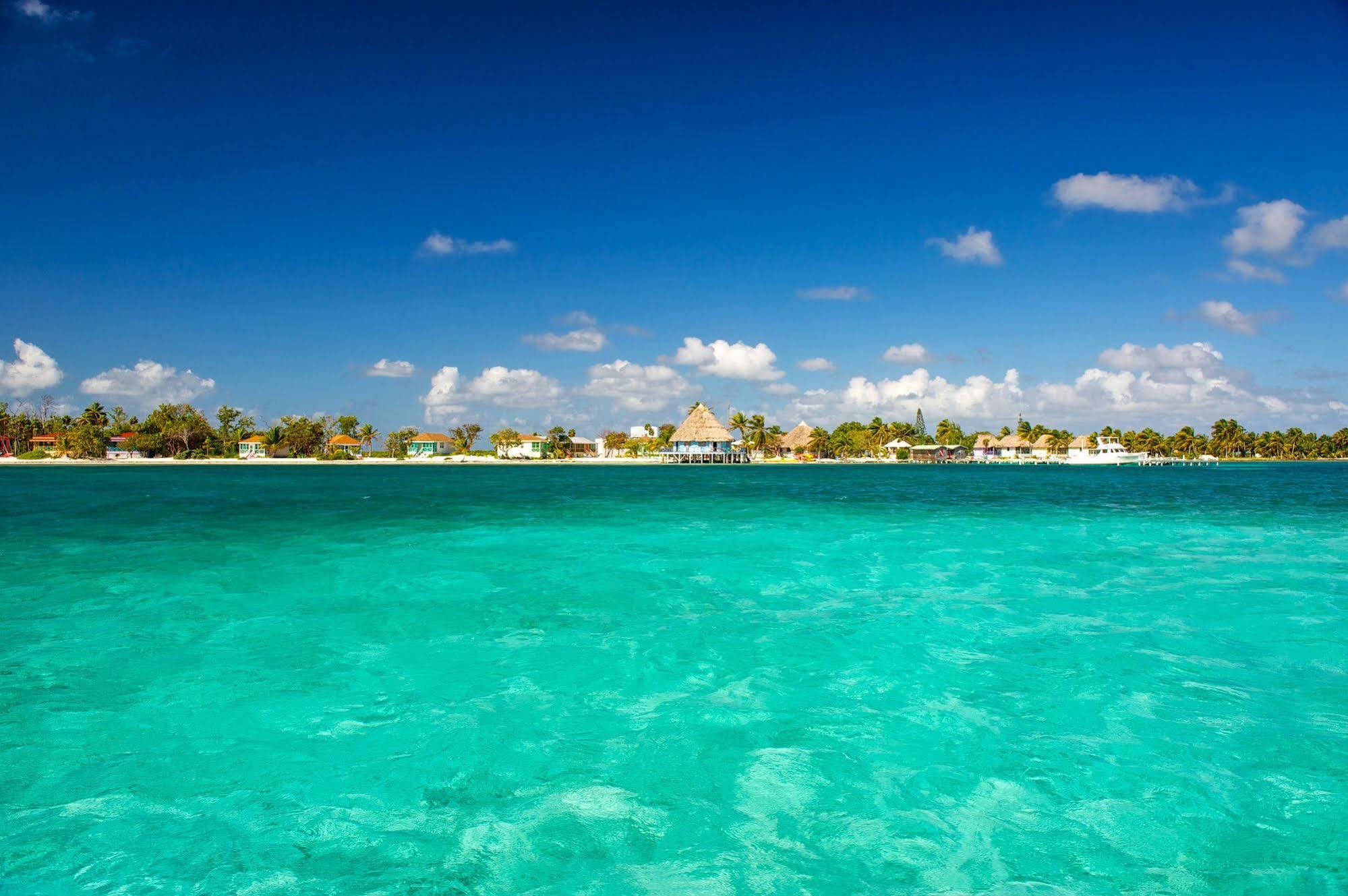 Blackbird Caye Resort Turneffe Atoll Exterior photo