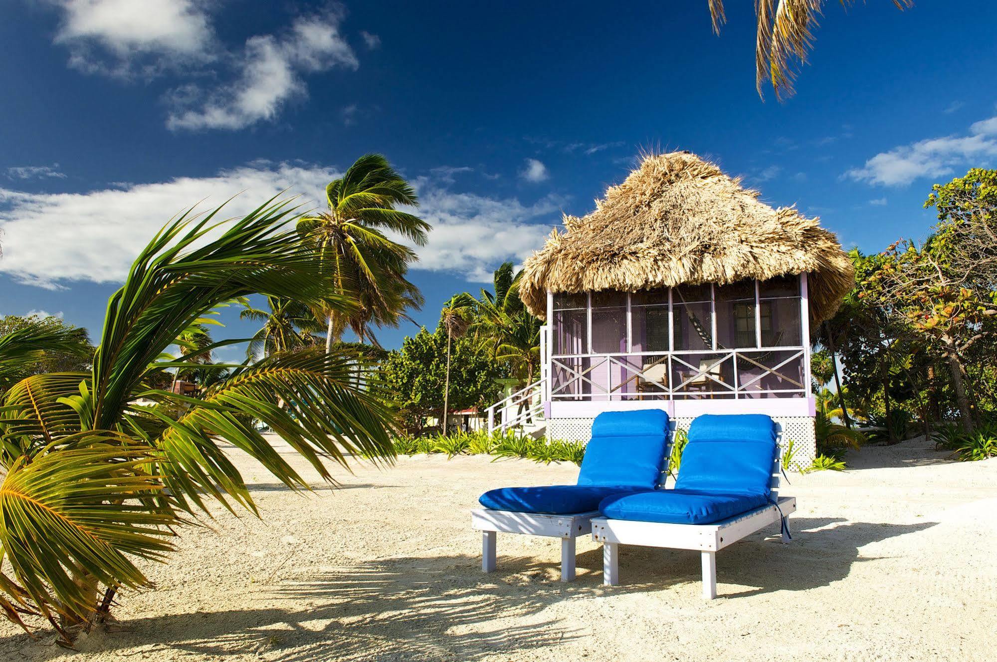 Blackbird Caye Resort Turneffe Atoll Exterior photo